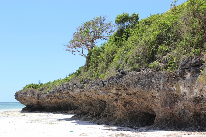 zanzibar coral beach