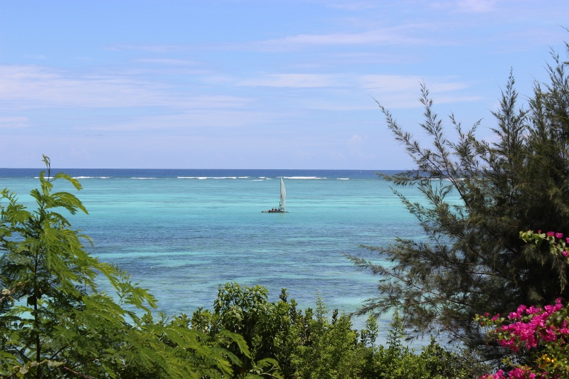 Dhow just visible in the distance