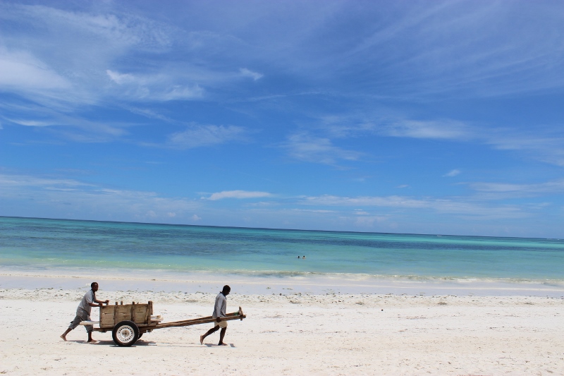Beach traders Zanzibar
