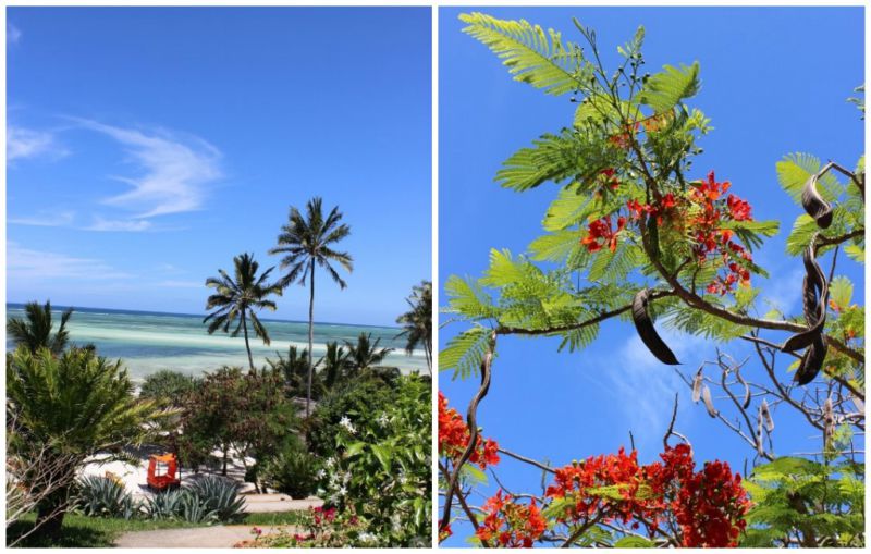 gabibeach