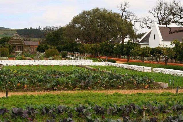 babylonstoren winter