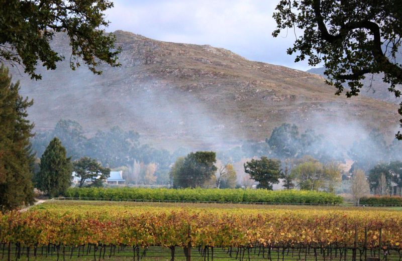 franschhoek