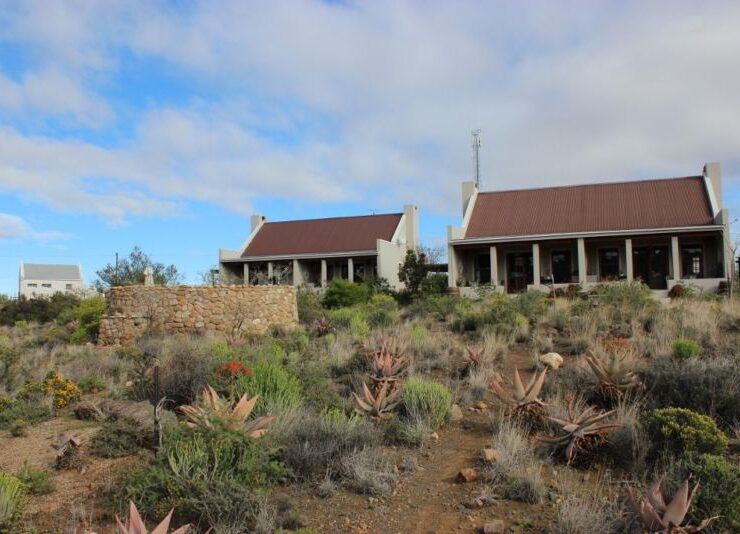 karoo view