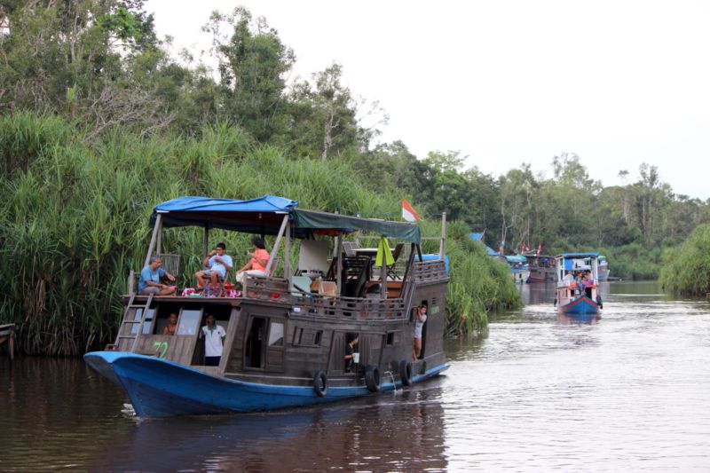 Klotok boats