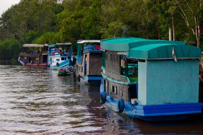 klotok boat on sekonyer river