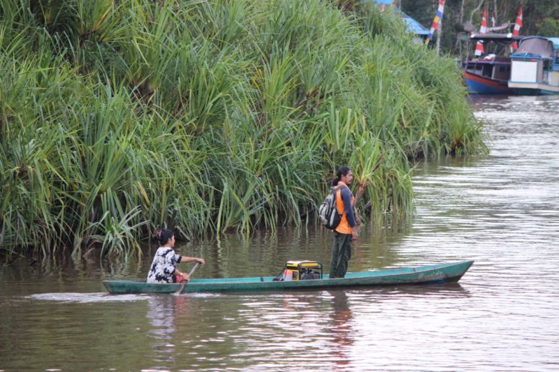 indonesian jungle