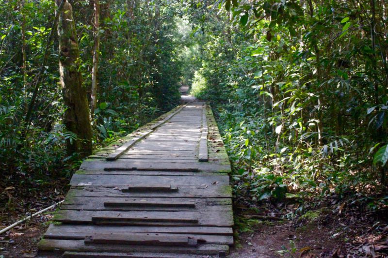 tanjung puting national park