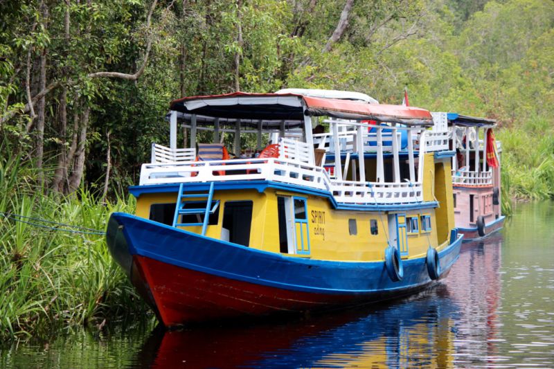 klotok boats