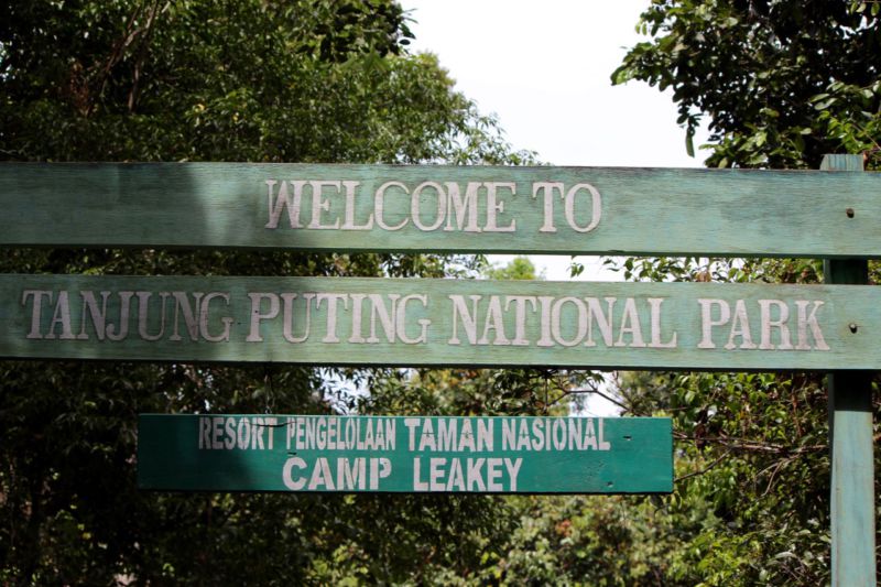 tanjung puting national park