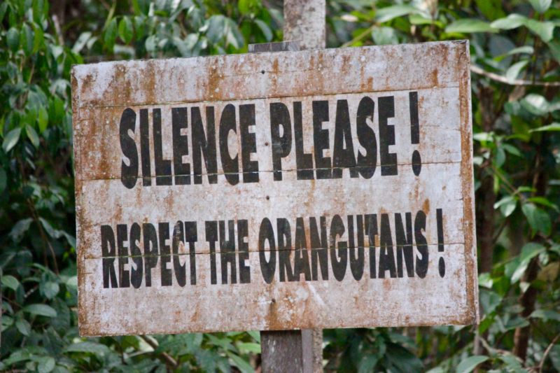 tanjung puting national park silence