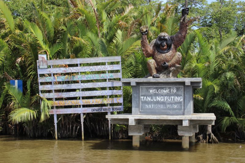 Tanjung Puting National Park