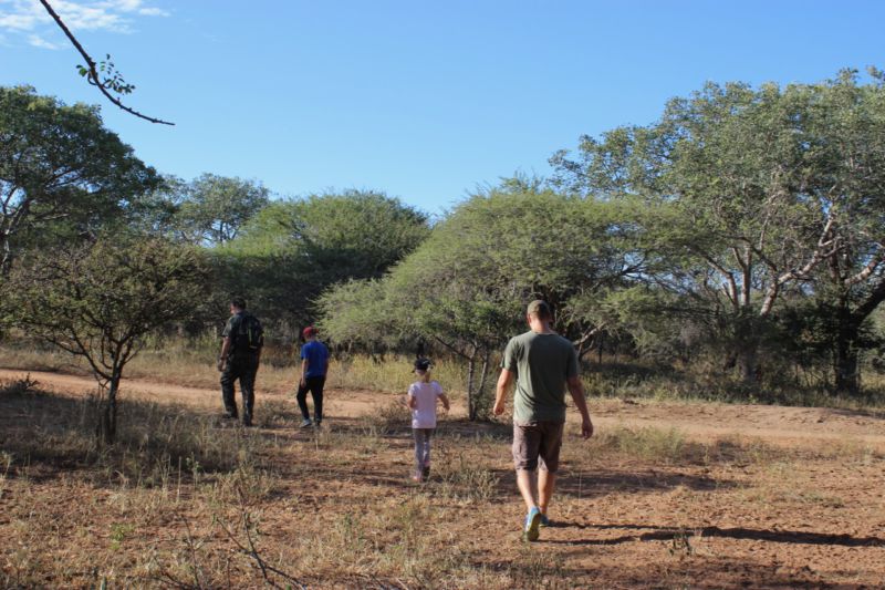 safari kids