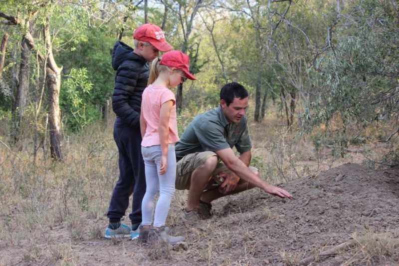 family safari holiday