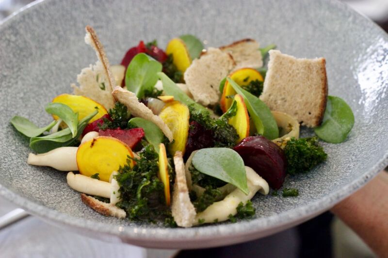Beautifully presented salad starter