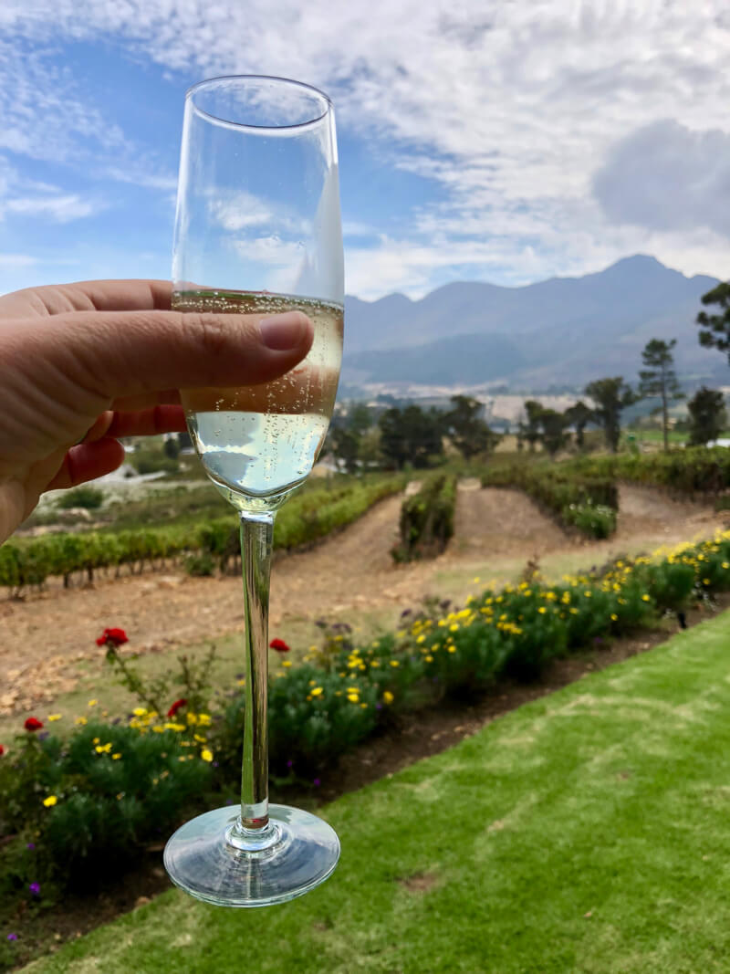 Holding a glass of MCC at La Petite Ferme in beautiful Franschhoek weather