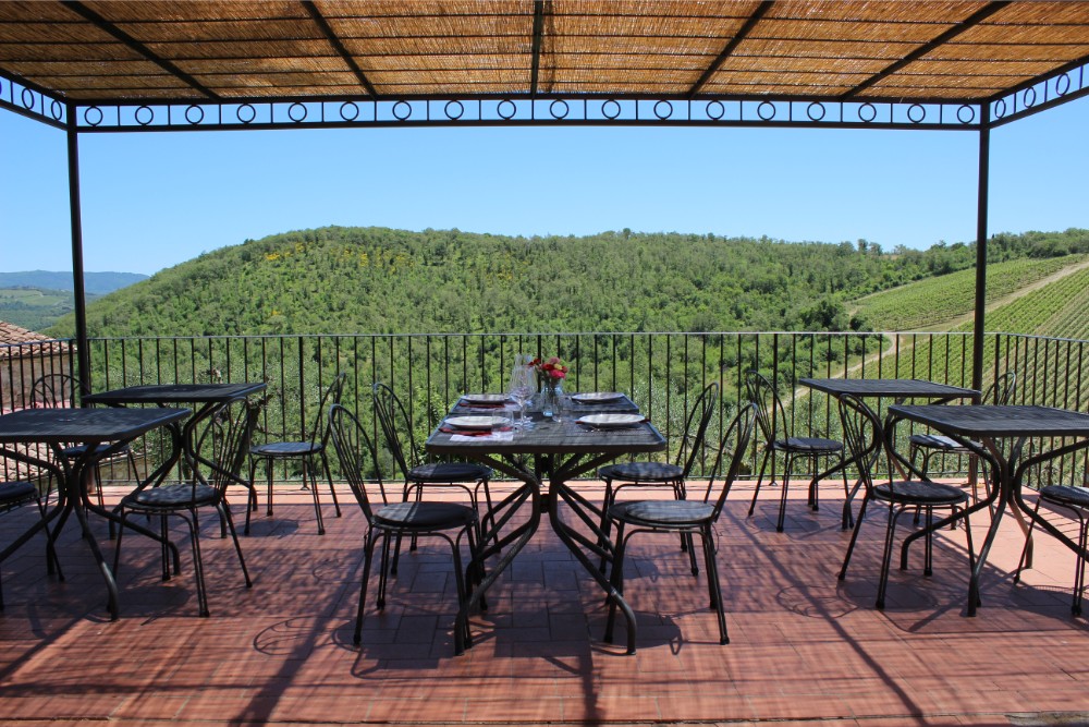 View over the vineyards from the patio at Querceto di Castellina